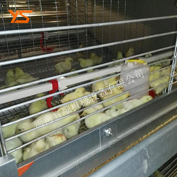 育雏笼自动化养鸡设备 层叠育雏笼