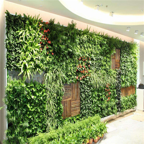 北京植物墙效果图