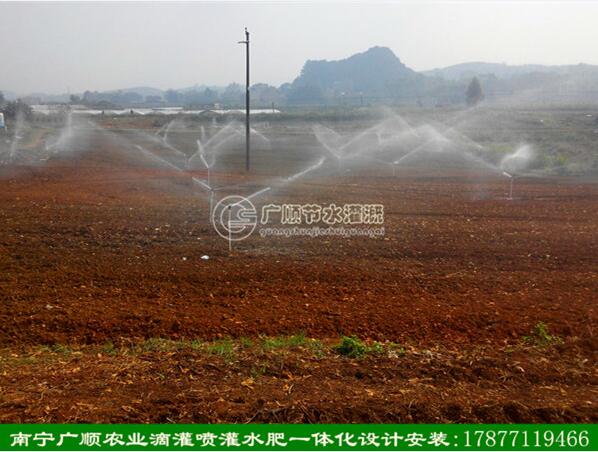 草坪喷灌园林自动灌溉 广西农业发展规划 水肥一体化标
