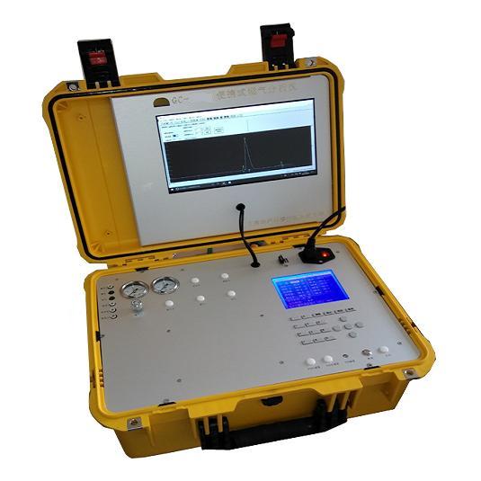 天然气热值分析仪DPS-8100