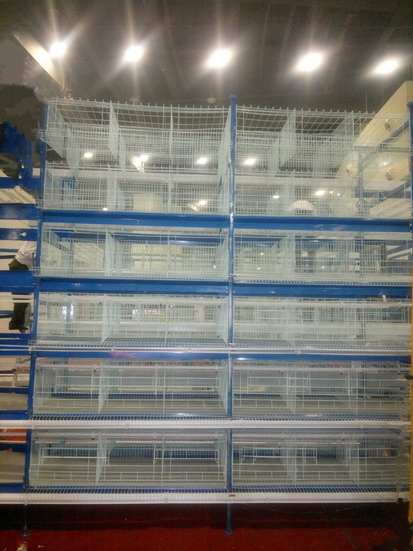 中州鸡笼四层层叠式鸡笼自动养鸡设备