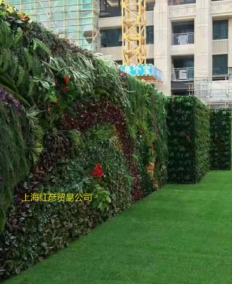 上海室内植物墙上海室外植物墙上海绿色植物墙