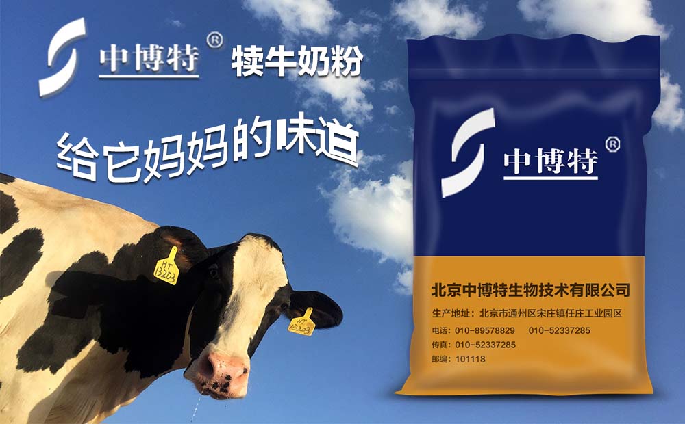 中博特犊牛奶粉犊牛养殖管理