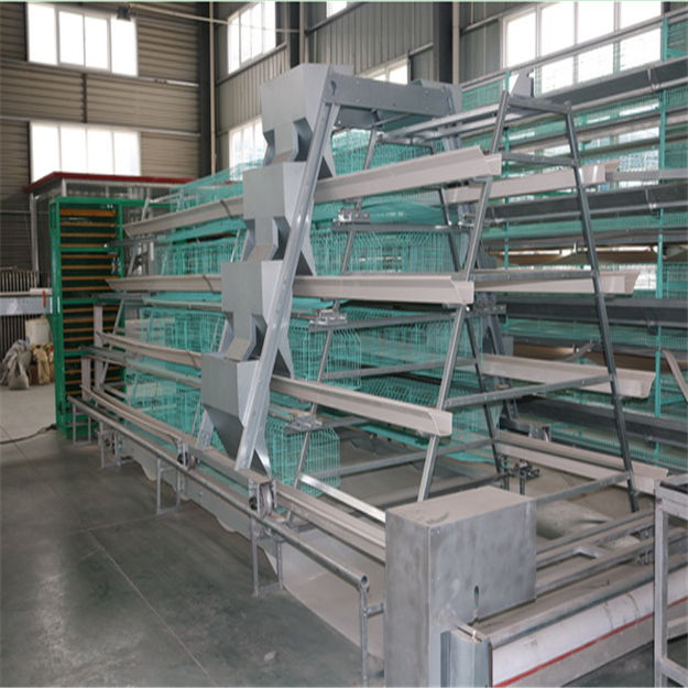 河南中州专业生产高档蛋肉鸡笼笼养设备 层叠鸡笼