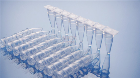 PCR八联排平盖(荧光定量专用)0.2ml透明管
