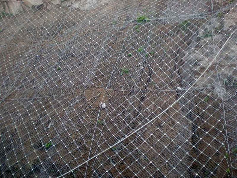 福建山坡绿化柔性钢丝绳防护网