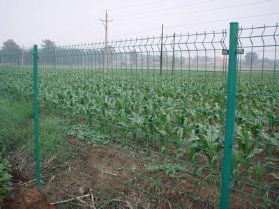 湖北菜园子种植隔离网防护网 武汉菜园子钢丝网围栏网订