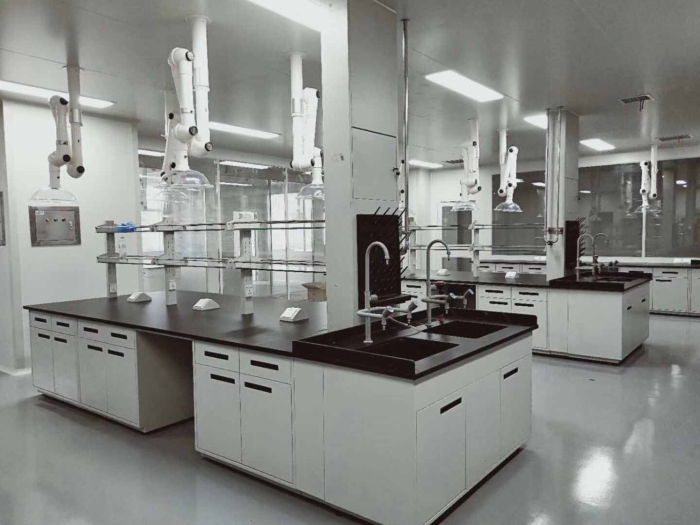 专业生产实验台,通风柜,气瓶柜等实验室基础设施