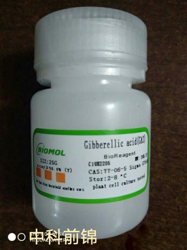 赤霉素 GA3