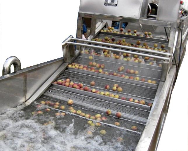 厂家定制果蔬清洗机 多功能小型洗菜机 果蔬清洗加工设备