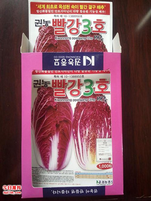 韩国进口紫白菜种子
