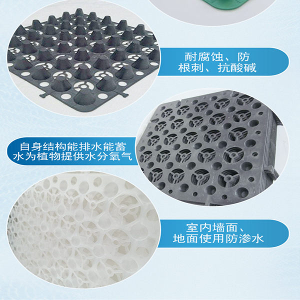 临汾2.5公分塑料排蓄水板/塑料滤水板厂价批发 