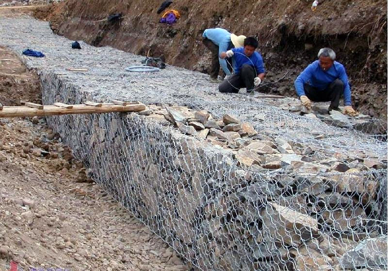 生态石笼网-铅丝石笼网多少钱-格宾网生产厂家