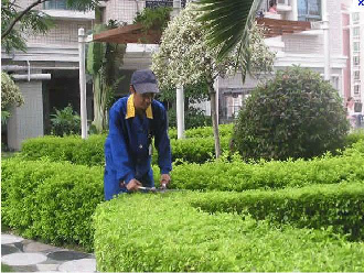 东莞绿化养护服务浇灌施肥 怡轩园林绿化养护