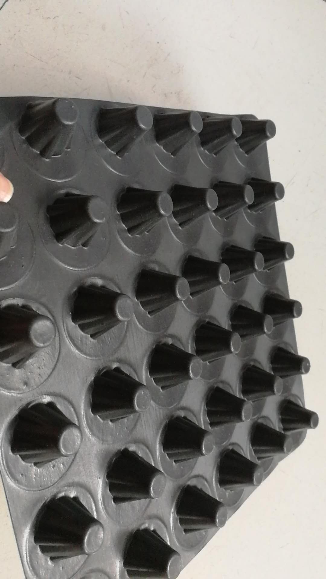 宁波水运工程塑料排水板 建筑工程塑料排水板