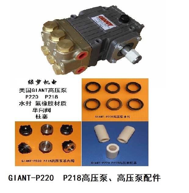 GIANT高压泵P220水封柱塞单向阀