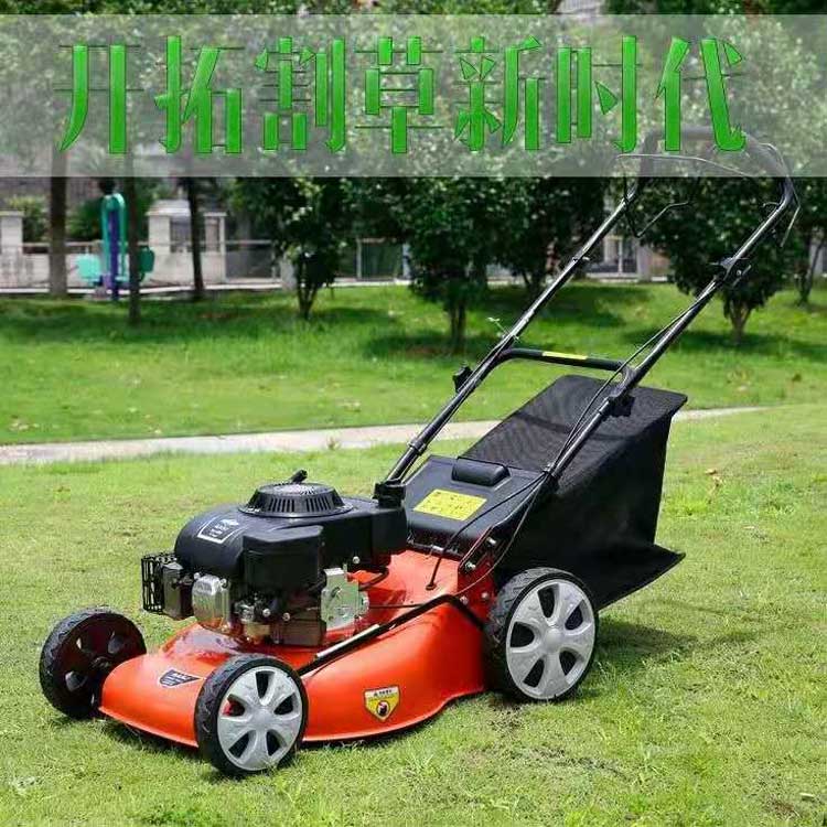 电动草坪机自走割草机轮式除草机