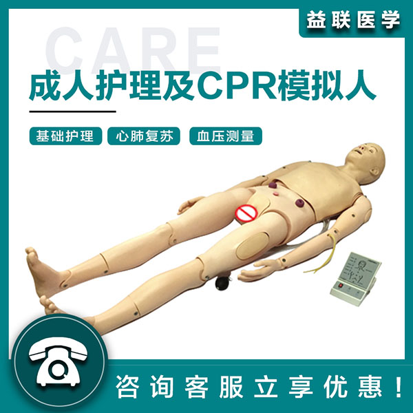 益联医学成人护理及CPR模型人