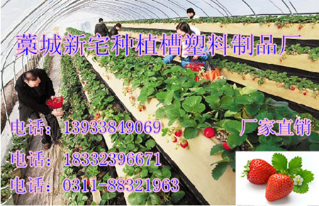 草莓栽培槽 草莓种植槽 草莓立体种植槽 草莓立体栽培槽 