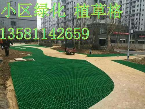 南京植草格壁厚3毫米