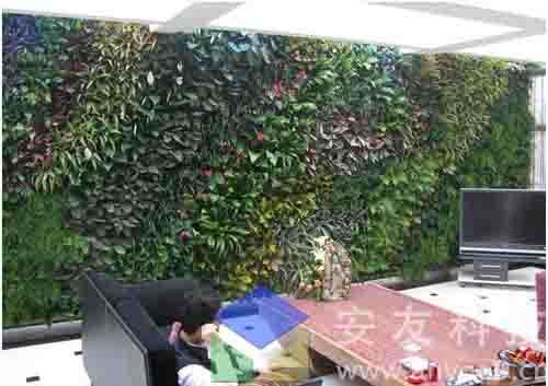供应立体绿化模块式植物墙