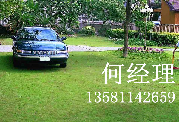 上海植草格壁厚3毫米