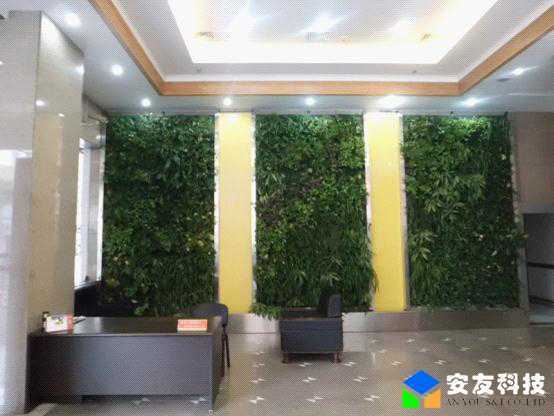 垂直绿化植物墙为什么要选拼块式植物墙