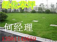 北京植草格壁厚3毫米