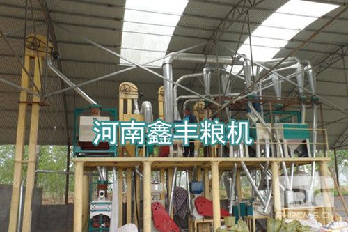 玉米加工机械鑫丰专业生产厂家
