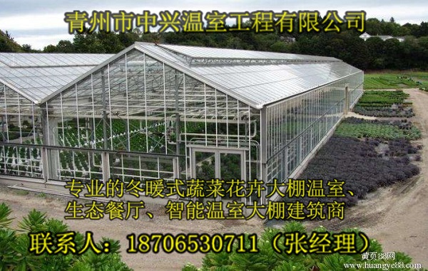 供应安顺大型育苗玻璃板温室建造