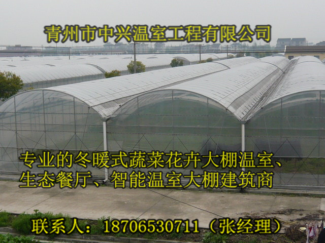 供应安顺大型育苗玻璃板温室建造