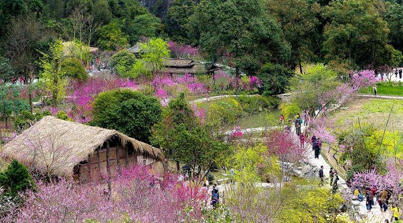 酉阳桃花源住宿,酉阳桃花源伏羲洞