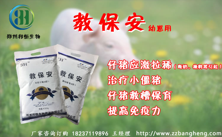 治疗小猪消化道疾病预防仔猪拉肚子