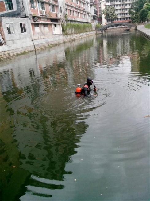 咸宁市人工湖清淤公司努力不变