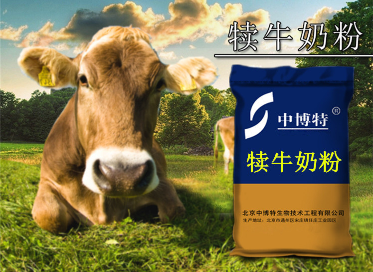 专喂小牛犊的奶粉北京中博特犊牛代乳粉