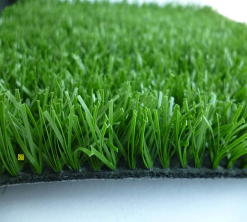 广州屋顶绿化草坪行业分析