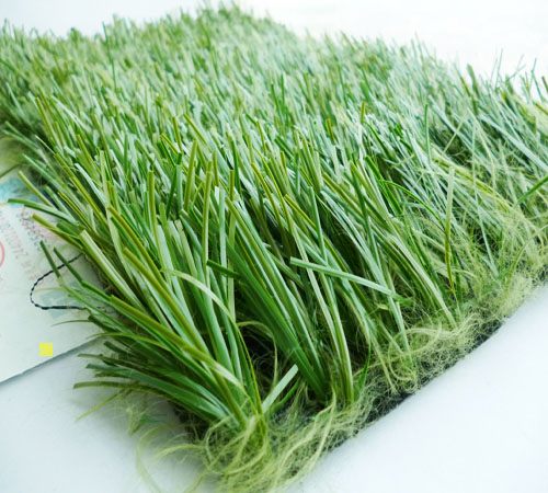 威海人造草坪每平米价格环保检测