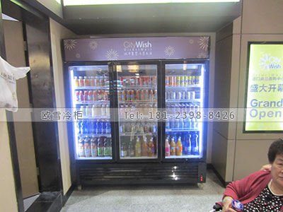 东莞便利店立式冷藏冰柜哪个品牌好耐用