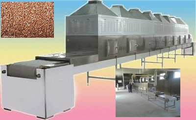 早餐粉微波带式烘干设备五谷杂粮熟化设备