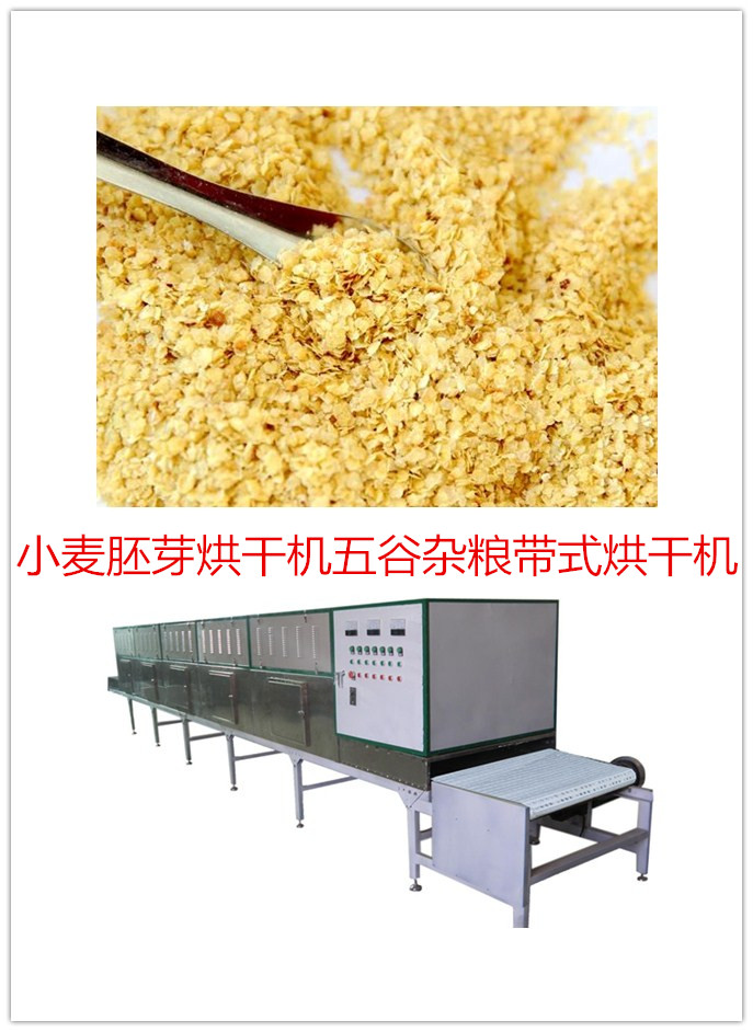 小麦胚芽/大麦/黑麦/燕麦片/荞麦/苦荞隧道式微波干燥机