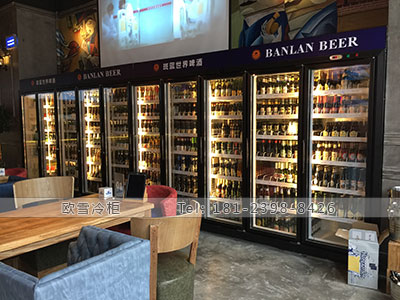 深圳一般超市啤酒饮料冰柜市场价格多少