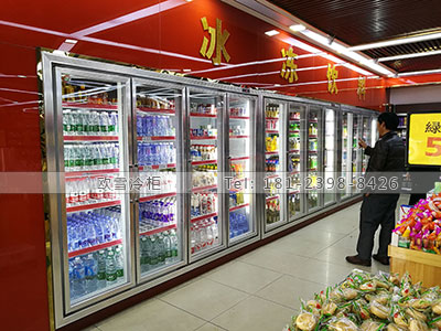 广东惠州啤酒冷藏柜哪家价格比较低