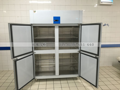 北京大容量厨房立式冷藏冷冻柜