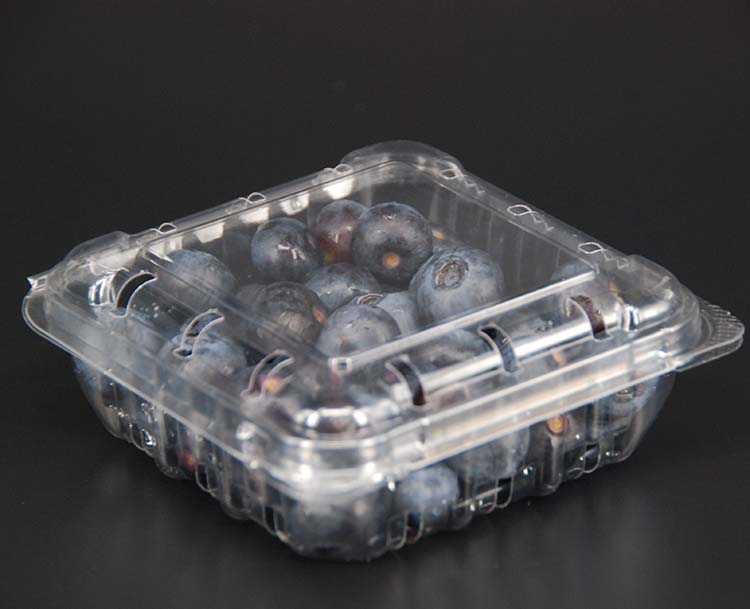 125g透明PET蓝莓盒树梅盒水果盒