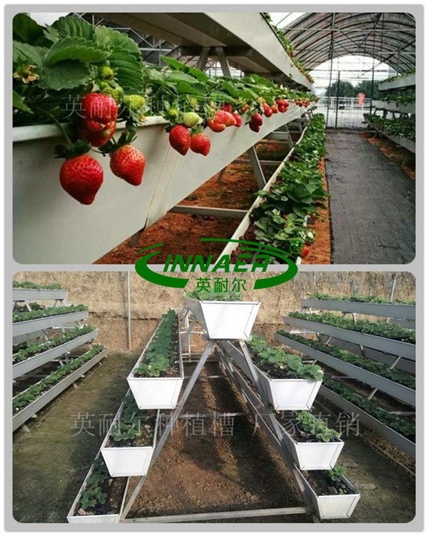 草莓种植槽 大棚立体栽培槽 无土栽培槽