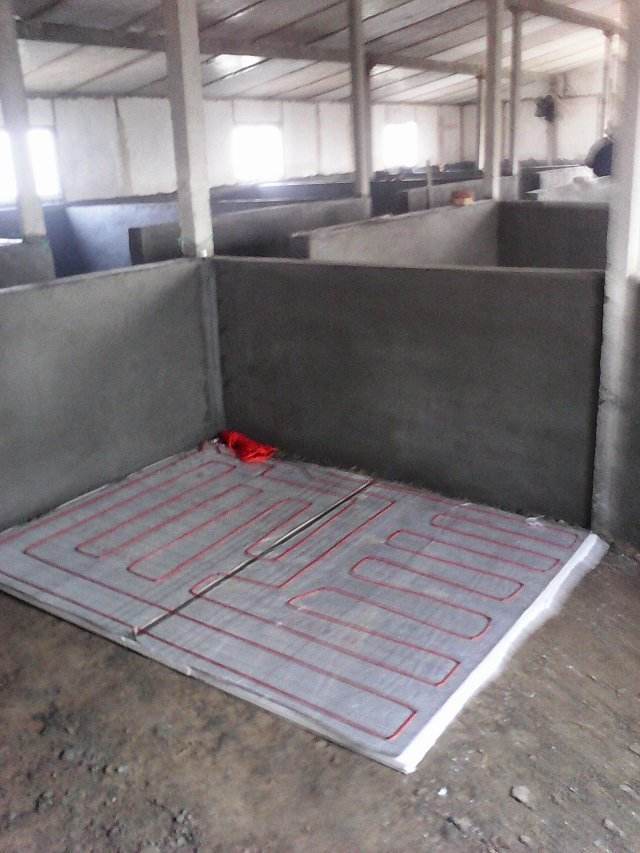 养猪场电地暖安装方法,合同猪场取暖电地暖,猪场保温