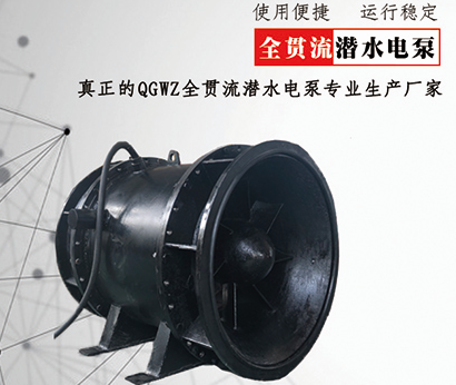 QGWZ/QGWZS全贯流泵/双向排水、耐腐蚀、耐磨、无堵塞