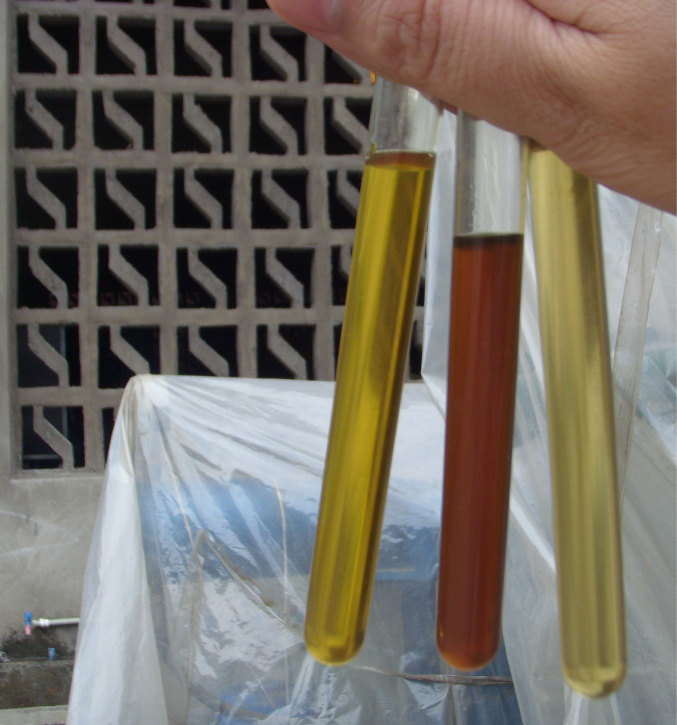 WER废油真空再生过滤设备 碳钢材质真空脱色滤油机